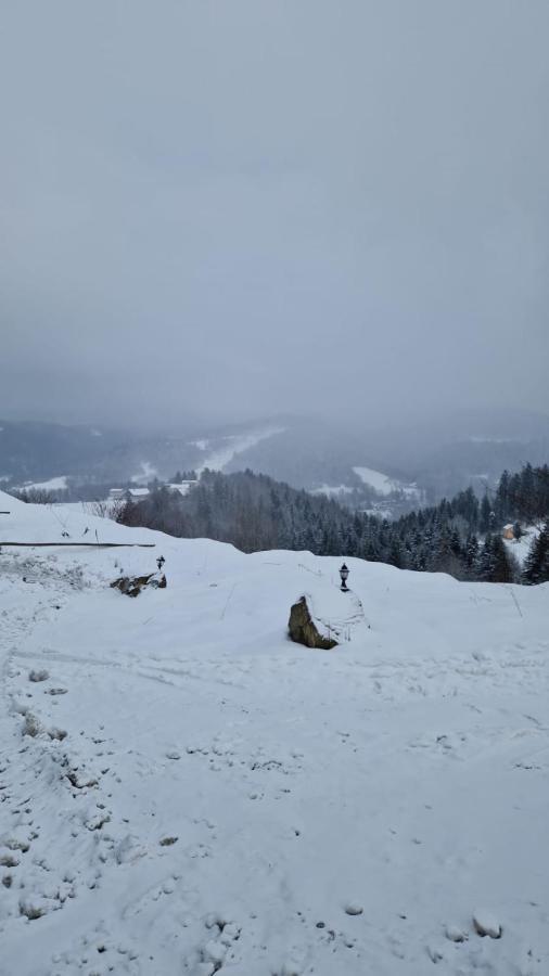 Rezydencja Nad Potoczkiem Wisła Kültér fotó